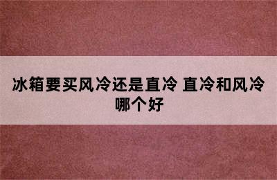 冰箱要买风冷还是直冷 直冷和风冷哪个好